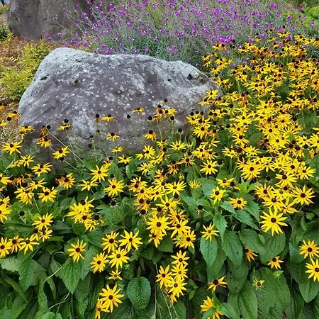 The Courtyard !!!! Apartment *
