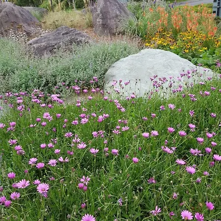 The Courtyard !!!! Killarney