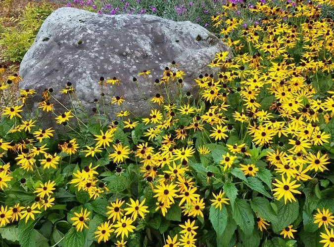 The Courtyard !!!! Apartman *