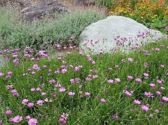 The Courtyard !!!! Cill Airne